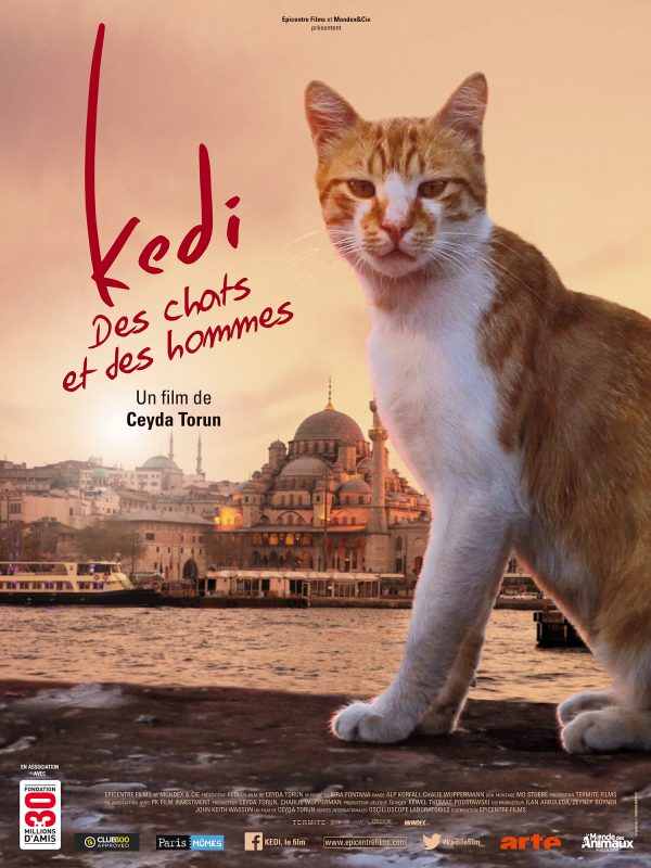 Affiche du film Kedi, des chats et des hommes