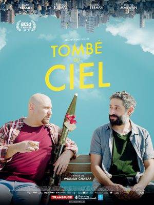 Affiche du film Tombé du ciel