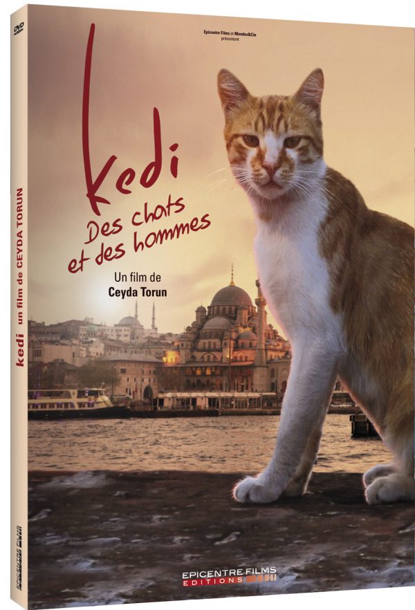 Jaquette Kedi, des chats et des hommes