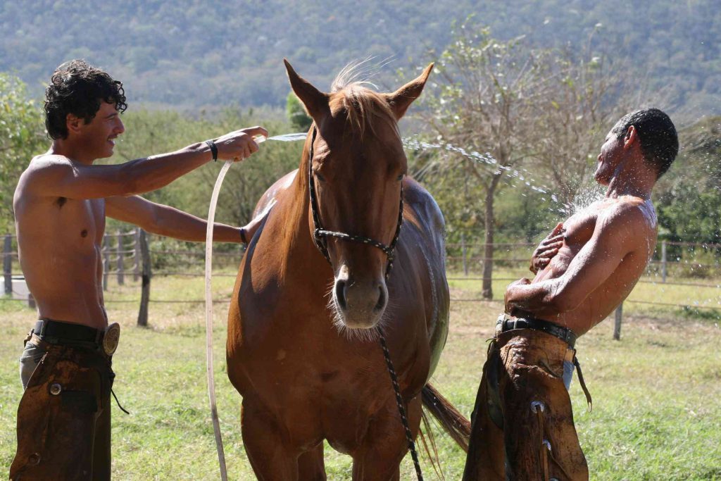 Photo du film Cowboy Forever