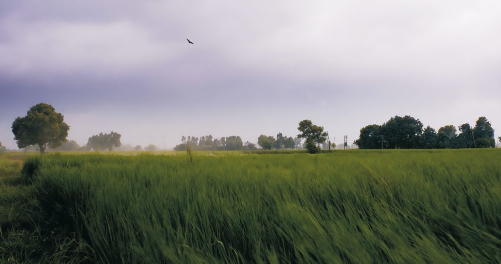 Photo du film La Quatrième Voie (Chauthi Koot)