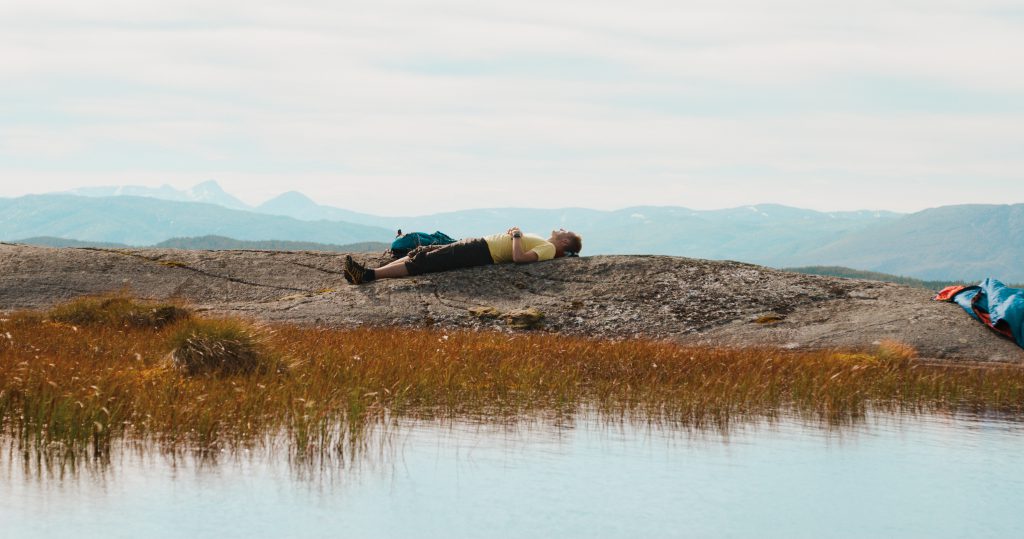 Photo du film Natur Therapy (Out of Nature)