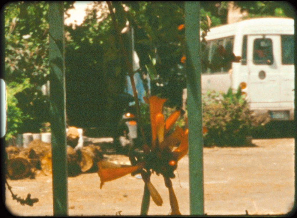 Photo du film Dans un jardin je suis entré