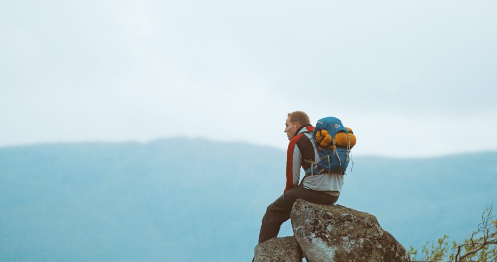 Photo du film Natur Therapy (Out of Nature)