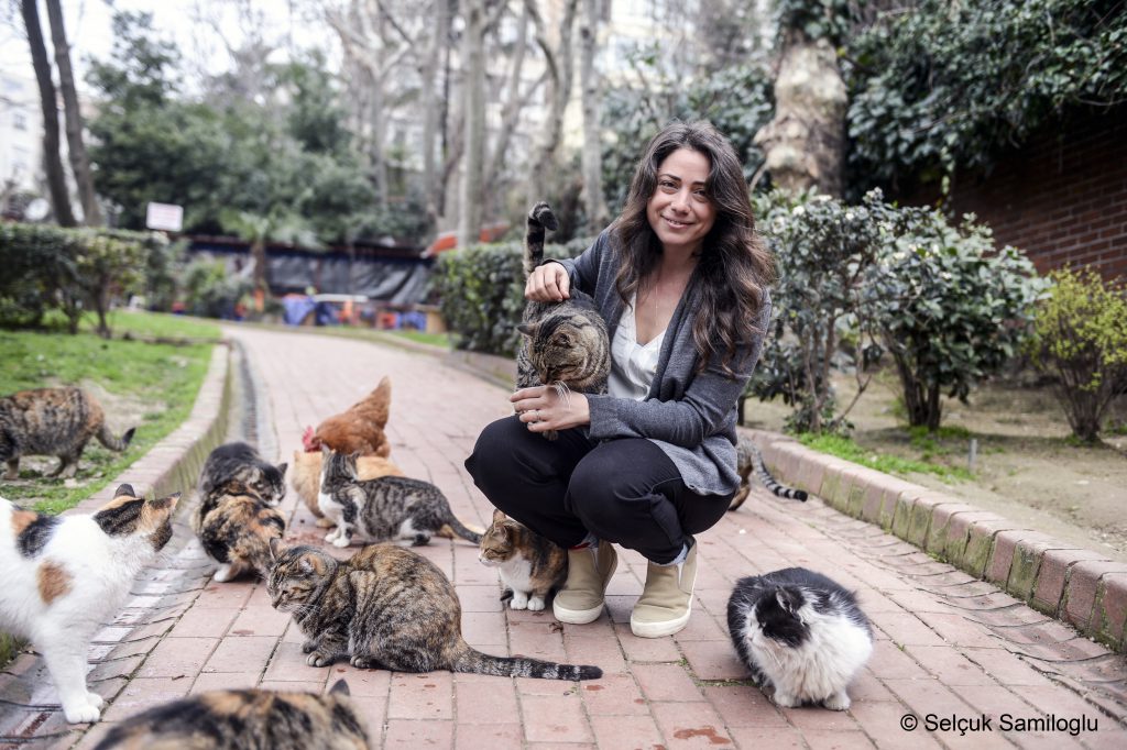 Photo du film Kedi, des chats et des hommes